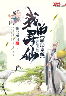 我的寻仙辅助系统封面