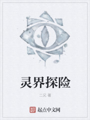 灵界探险封面
