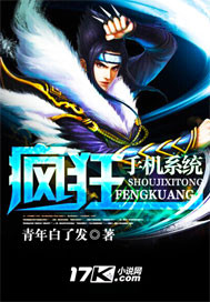 疯狂手机系统封面