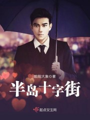 半岛十字街封面