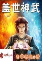 盖世神武封面