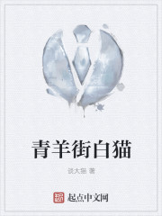 青羊街白猫封面