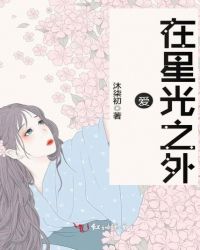 爱在星光之外封面