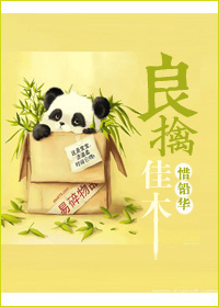 良擒佳木封面