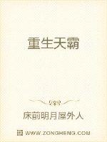 重生天霸封面