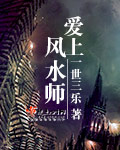 爱上风水师封面