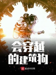 会穿越的建筑狗封面
