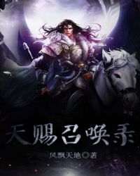 天赐召唤录封面