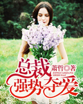 总裁强势夺爱封面