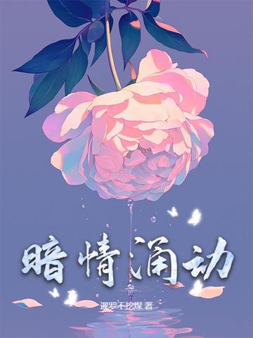 暗情涌动封面