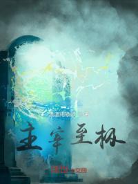 绝世唐门之主宰至极封面