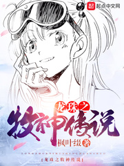 龙珠之牧神传说封面