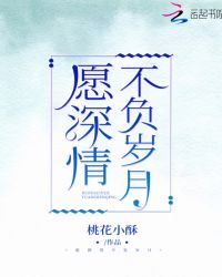 愿深情不负岁月封面