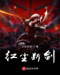 红尘断剑封面