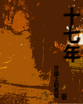 拾柒年封面