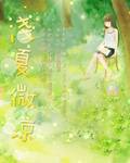 夏微凉封面