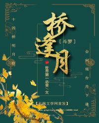 [斗罗]桥逢月封面