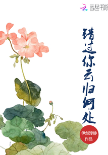 错过你,云归何处封面