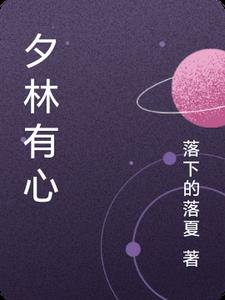 夕林有心封面
