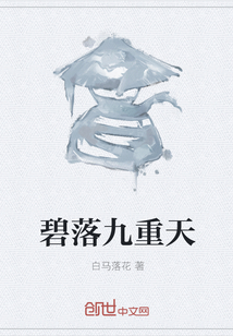 碧落九重天封面