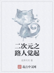 二次元之路人觉起封面