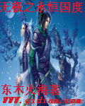 无极之永恒国度封面