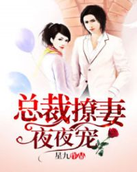 总裁撩妻，夜夜宠封面