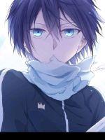 生活这么随性封面