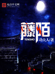 藤陌封面