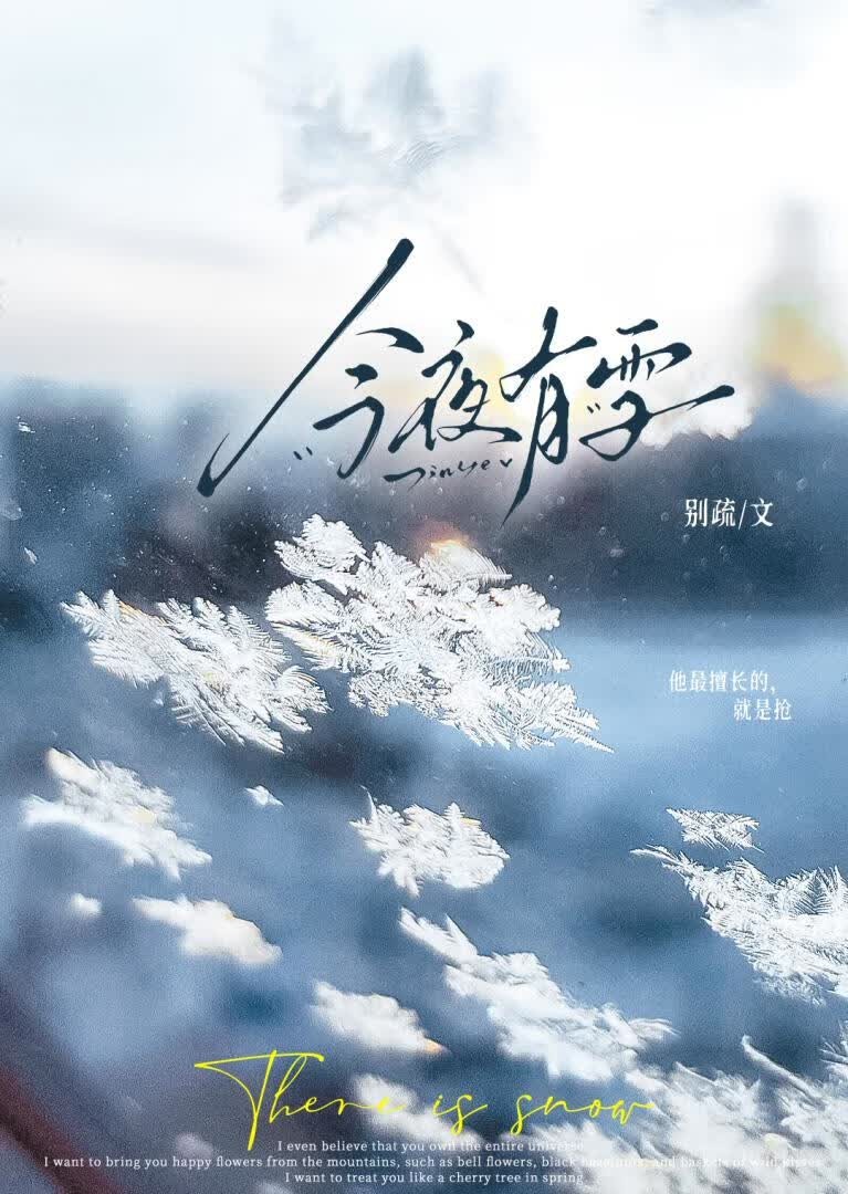 今夜有雪封面