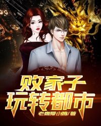 败家子玩转都市封面