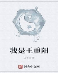 我是王重阳封面