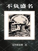 不负盛名封面
