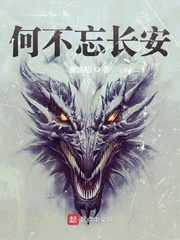 何不忘长安封面