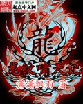 龙纹啸天记封面