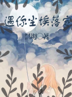 遇你尘埃落定封面