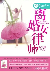 离婚女律师封面