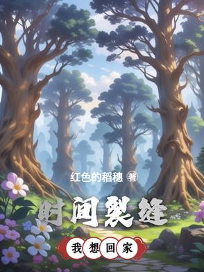 时间裂缝：我想回家封面