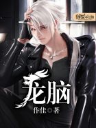 龙脑封面