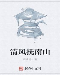 清风抚南山封面