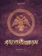 紫色双鹰旗封面