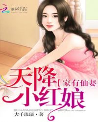 家有仙妻：天降小红娘封面