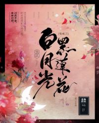 我从白月光变成了黑莲花封面