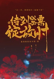 待到罂粟绽放时封面