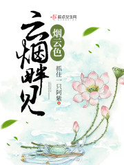 云烟畔见烟云色封面