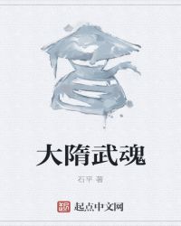 大隋武魂封面