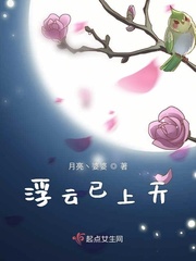 浮云已上天封面