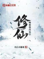 师姐我真不会修仙封面