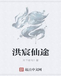 洪宸仙途封面