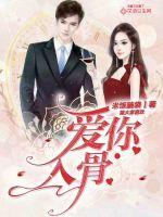 爱你入骨封面